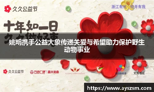 NG娱乐官网